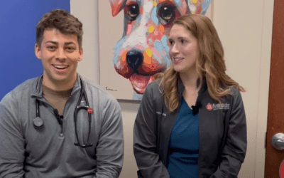 Our Vets Answer Your 5 Most Embarrassing Pet Questions  Candid answers to awkward cat and dog topics